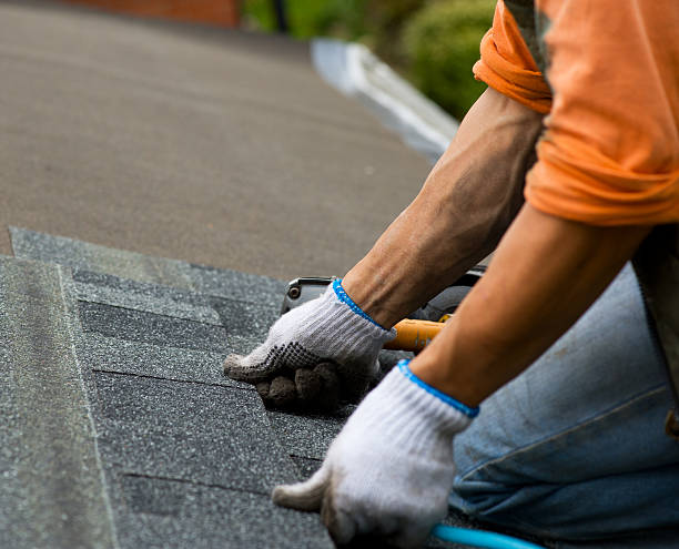 Best Metal Roofing Contractor  in West Hattiesburg, MS